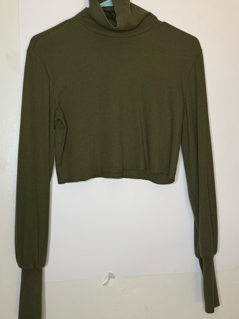 Olive Green Cropped Turtleneck Cropped Long Sleeve Top